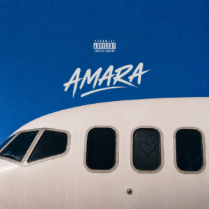 AMARA Basic License
