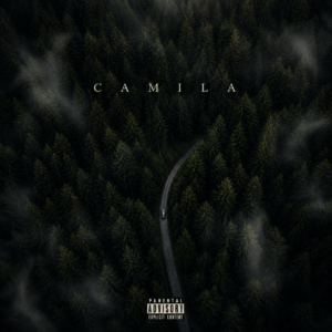 CAMILA Basic License