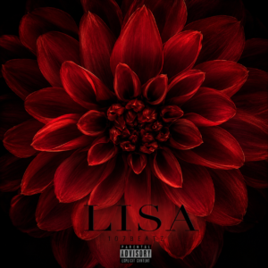 LISA Basic License