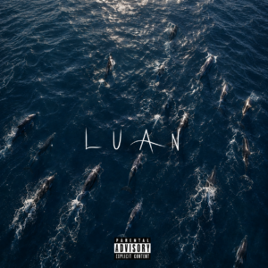 LUAN Basic License